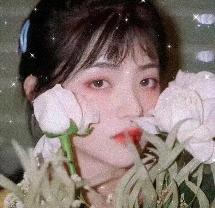 世界街头女斗士3